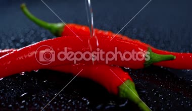 stüdyo çekimi olgun kırmızı biber karanlık yüzeyi Tarih dökülen su