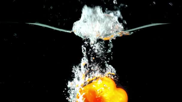 Studio Shoot Färgglada Orange Paprika Doppning Klart Vatten Svart Bakgrund — Stockvideo