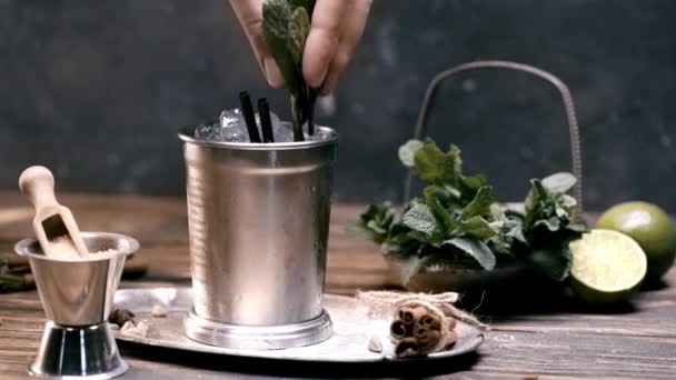 Vista Recortada Del Hombre Poniendo Menta Cóctel Mojito Vaso Plata — Vídeos de Stock