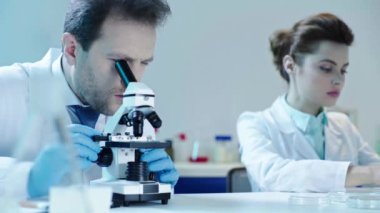 mikroskop ile analiz yapan ve dizüstü bilgisayar kullanan güzel bir doktorla konuşan özenli bilim adamının seçici odak noktası