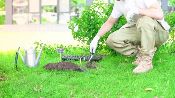 Teilansicht Des Gärtners Handschuhen Der Bei Der Arbeit Garten Hockt — Stockvideo