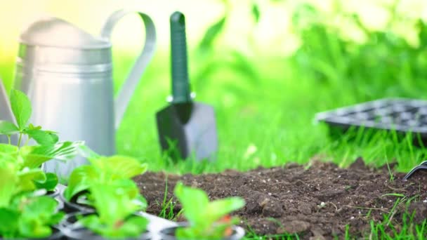 Gedeeltelijke Weergave Van Tuinman Handschoen Vastzittend Naamplaatje Met Inscriptie Grond — Stockvideo