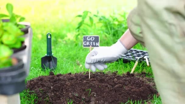 Vue Partielle Jardinier Dans Des Gants Retirant Plaque Signalétique Sol — Video