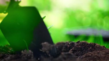 yeşil filiz yakın kürek ile bahçıvan gevşeme toprak kısmi görünümü
