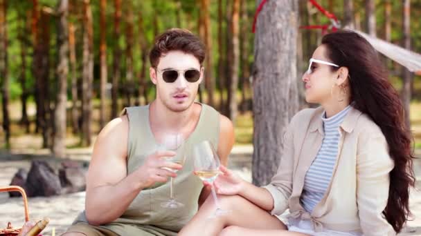 Feliz Pareja Bebiendo Blanco Besándose Mientras Descansan Juntos Playa Parque — Vídeos de Stock