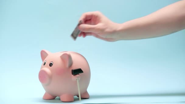 Ausgeschnittene Ansicht Eines Mannes Der Geld Ein Sparschwein Auf Blauem — Stockvideo