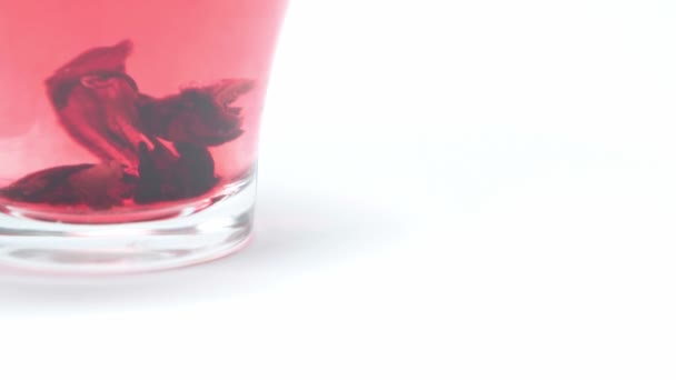 Kopje Rode Hibiscus Thee Wit — Stockvideo