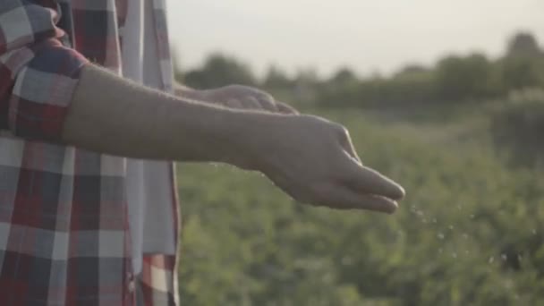 Обрезанный Вид Посева Семян Фермерами Поле — стоковое видео