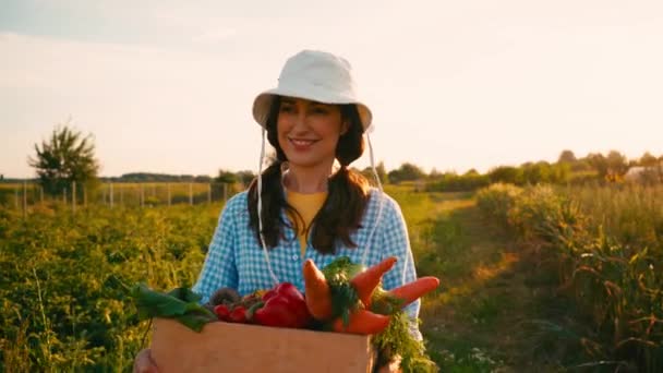 Donna Cappello Camminando Sul Campo Tenendo Scatola Con Verdure — Video Stock