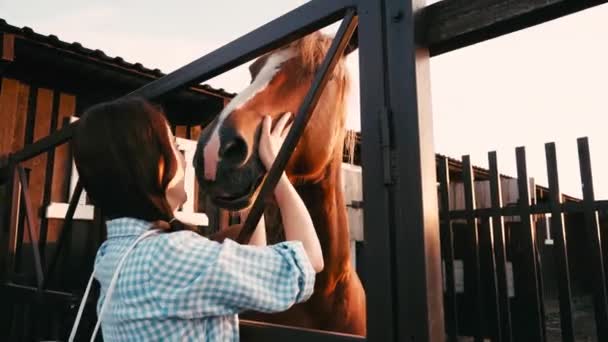 Mulher Alegre Tocando Cavalo Marrom Curral — Vídeo de Stock