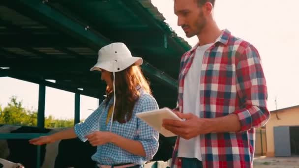 Mulher Andando Perto Vacas Conversando Com Homem Usando Tablet Digital — Vídeo de Stock