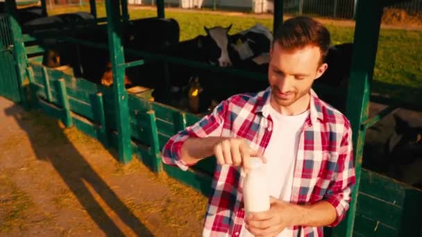 Fermier Deschizând Sticla Mirosind Lapte Proaspăt Lângă Vaci — Videoclip de stoc