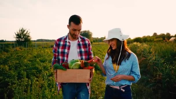 Agricultor Segurando Caixa Com Legumes Frescos Andando Perto Mulher Chapéu — Vídeo de Stock