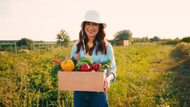 Farmer Hat Holding Box Fresh Vegetables Field — Stock Video
