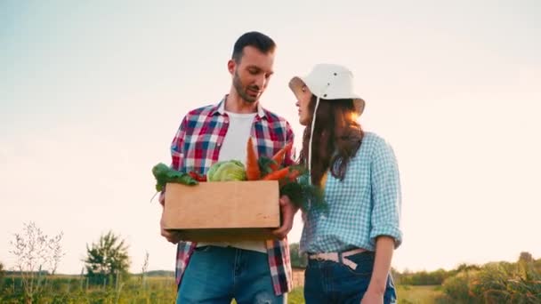 Çiftçi Taze Sebzelerle Dolu Bir Kutu Tutuyor Şapkalı Bir Kadınla — Stok video