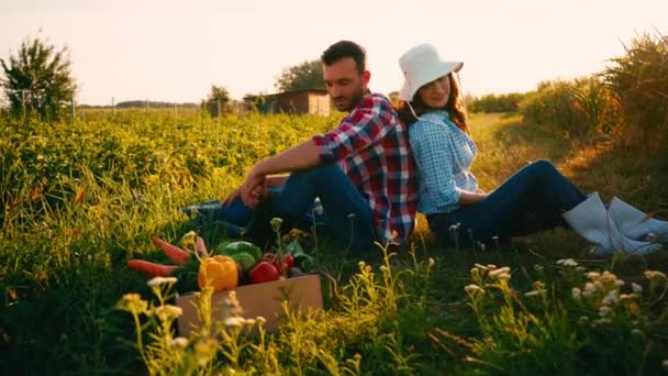 Casal Agricultores Sentados Grama Falando Perto Caixa Com Legumes Frescos — Vídeo de Stock