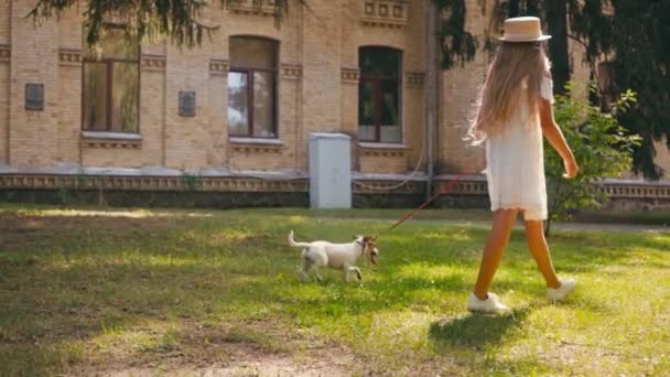 Kyiv Ukraine Temmuz 2020 Jack Russell Terrier Ile Yürüyen Çocuk — Stok video