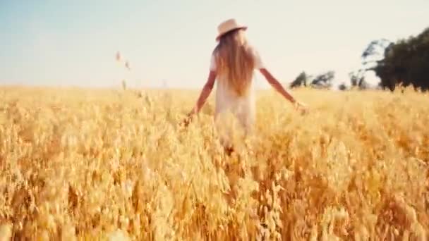 白いドレスの女の子と麦畑を歩く藁帽子の選択的な焦点 — ストック動画