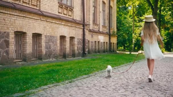 Kiew Ukraine Juli 2020 Mädchen Geht Mit Hund Auf Pflastersteinen — Stockvideo