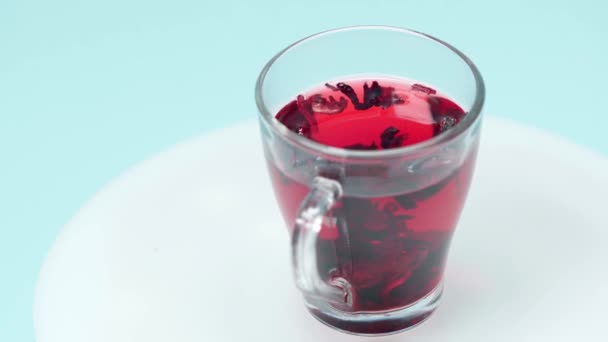 Cup Hibiscus Tea Spinning Isolated Blue — Stock Video