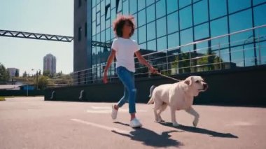 Afrika kökenli Amerikalı kız modern binanın yakınında Labrador 'la hızlı yürüyor.