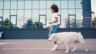 Modern bina boyunca köpekle yürüyen Afro-Amerikan kız manzarası