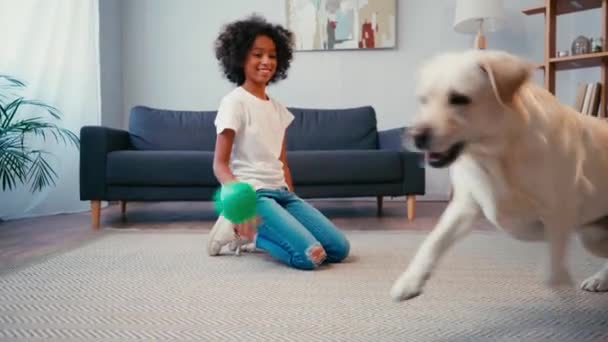 Chica Afroamericana Lanzando Pelota Perro Mientras Está Sentado Alfombra Casa — Vídeos de Stock