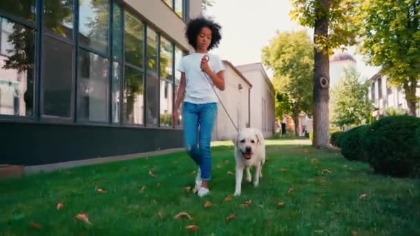 Afrikaans Amerikaans Meisje Wandelen Met Witte Labrador Langs Gazon — Stockvideo
