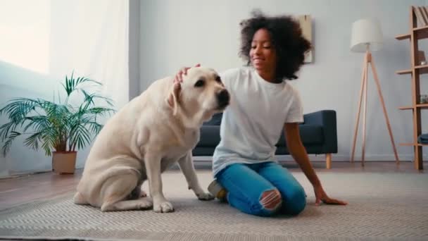Leende Afrikansk Amerikansk Flicka Smeka Hund När Sitter Mattan Hemma — Stockvideo