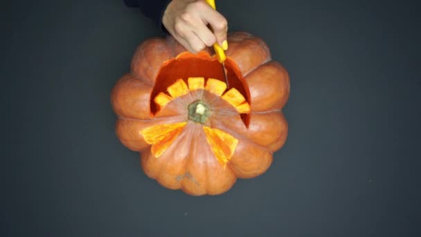 Vista Dall Alto Della Donna Intaglio Zucca Matura Raccapricciante Con — Video Stock