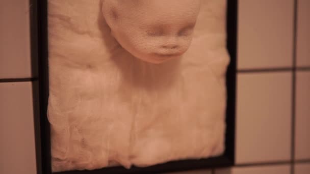 Eng Nep Baby Hoofd Frame Opknoping Muur Halloween Concept — Stockvideo