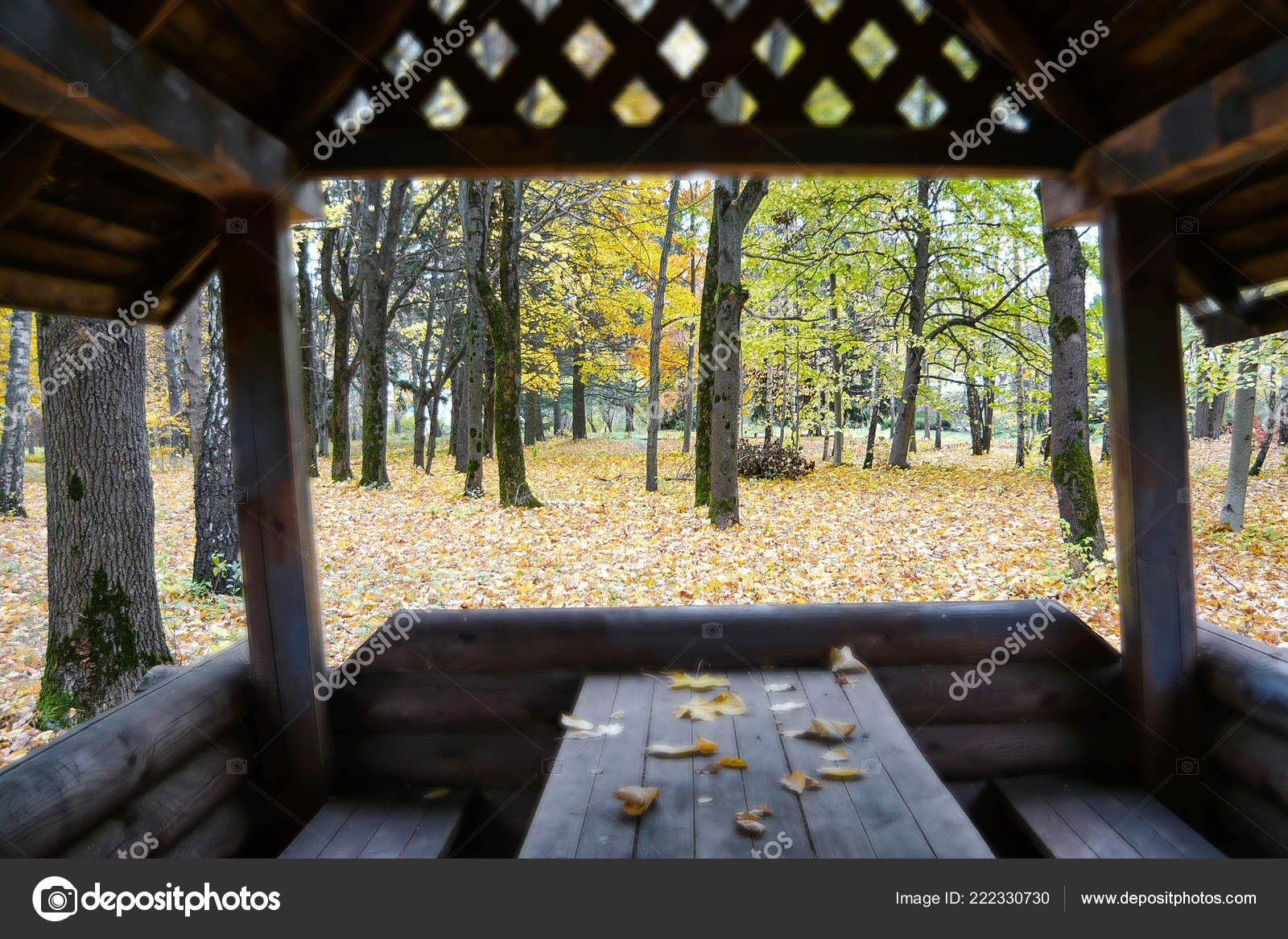 Arbour Botanical Garden Minsk City 2018 Made Natural Wood Bench