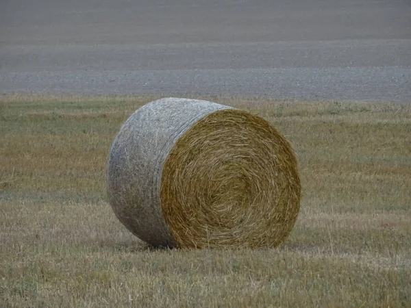 The package is straw in the field