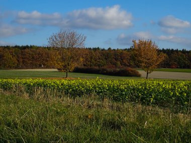 Alanlar ve çayırlar birkaç bulutlar ile güneşli havalarda