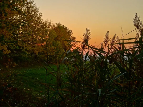 Осенний Пейзаж Закате Стоковое Фото