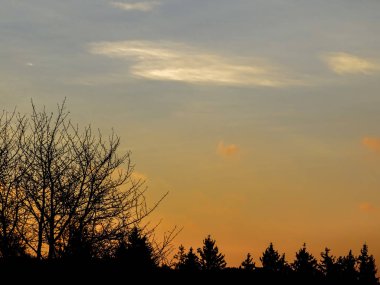 Ağaçların üzerinde gün doğumu