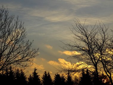 Ağaçların üzerinde gün doğumu