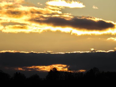 Ağaçlar üzerinde soyut gündoğumu