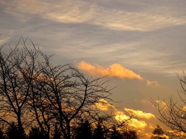 Görünüm gündoğumu bulutlara ağaçları ile peyzaj