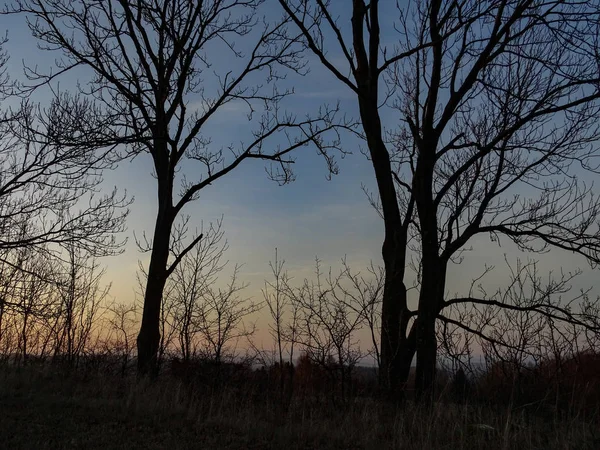 View Sky Cloudy Trees Sunrise — Stock Photo, Image