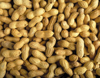 Ceviz yığını, yiyecek geçmişi. 