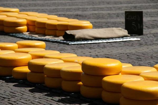 cheese market in Alkmaar