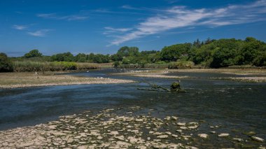 Düşük gelgit görünür olmak renkli, yeşil taşlar ile yaz aylarında Afon Teifi Nehri 