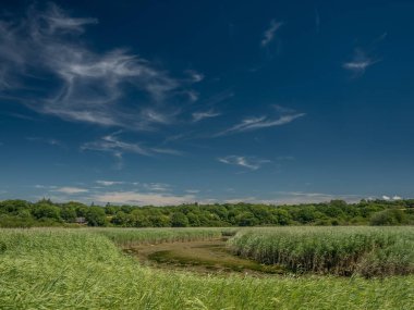 Düşük gelgit görünür olmak renkli, yeşil taşlar ile yaz aylarında Afon Teifi Nehri 
