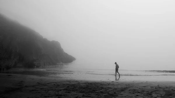海滩上有雾的一天 — 图库照片