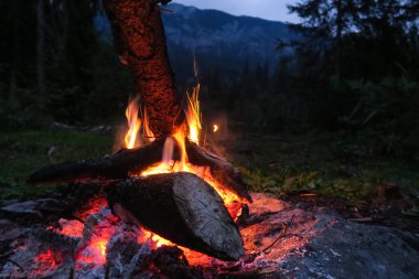 Güzel doğa olay yerinde Crestasee Caumasee İsviçre dağlarında ve Alpler