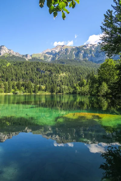 Prachtige Natuur Scène Bij Crestasee Caumasee Zwitserse Bergen Alpen — Stockfoto