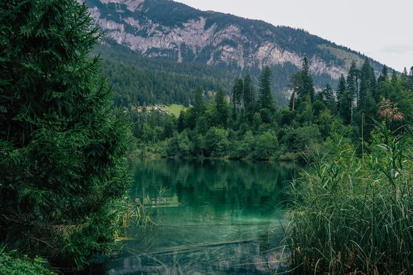 Prachtige Natuur Scène Bij Crestasee Caumasee Zwitserse Bergen Alpen — Stockfoto