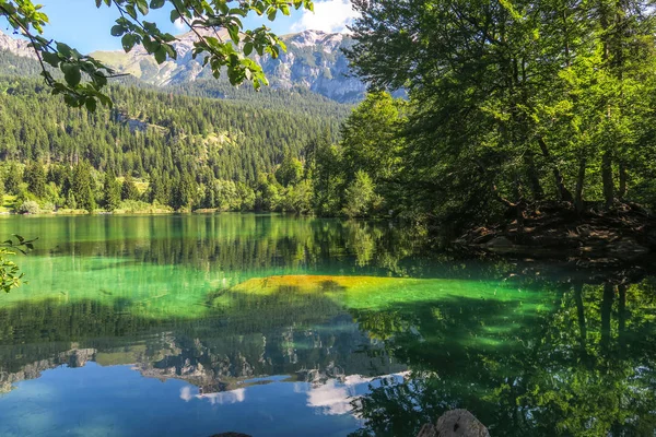 Όμορφη Φύση Σκηνή Στο Crestasee Και Caumasee Στα Ελβετικά Βουνά — Φωτογραφία Αρχείου