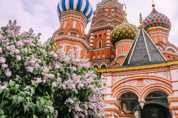 白い曇り空とフォアの多彩な植物を持つモスクワの Basilius 大聖堂 — ストック写真